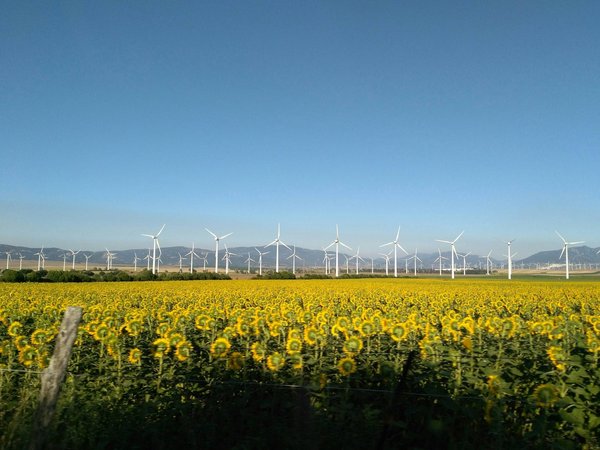 Quels sont les enjeux et les défis de la transition écologique ?