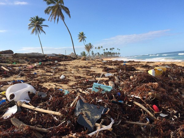 Quels sont les principaux enjeux écologiques actuels ?