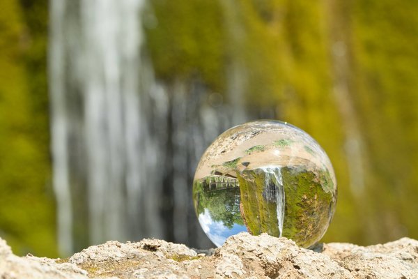Quel est le lien entre l'économie et l'écologie ?