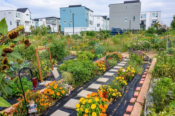 Les initiatives citoyennes inspirantes pour l'écologie