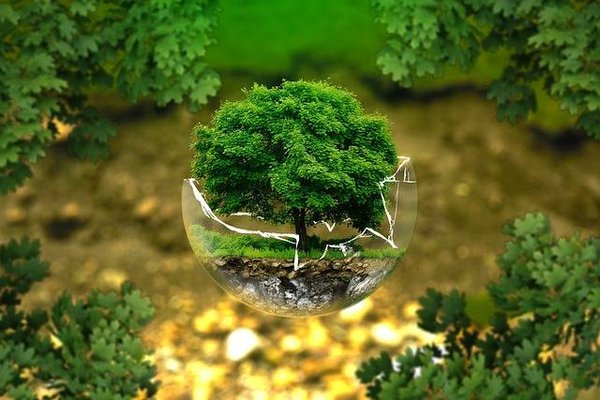 Quelle est la différence entre environnement et écologie?